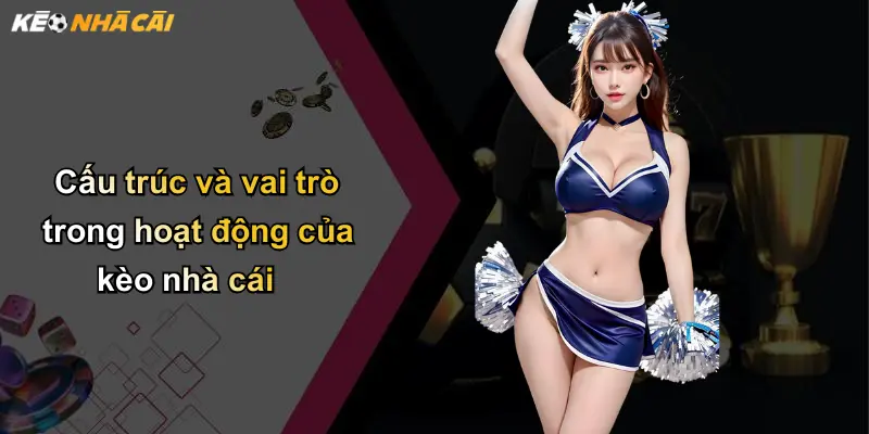 Cấu trúc và vai trò trong hoạt động của kèo nhà cái