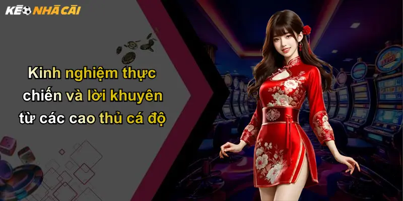 Kinh nghiệm thực chiến và lời khuyên từ các cao thủ cá độ