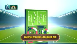 Cách soi kèo châu Á cho người mới
