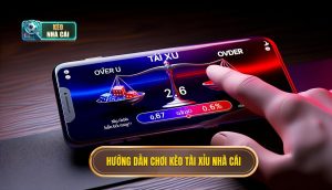 Hướng dẫn chơi kèo tài xỉu nhà cái