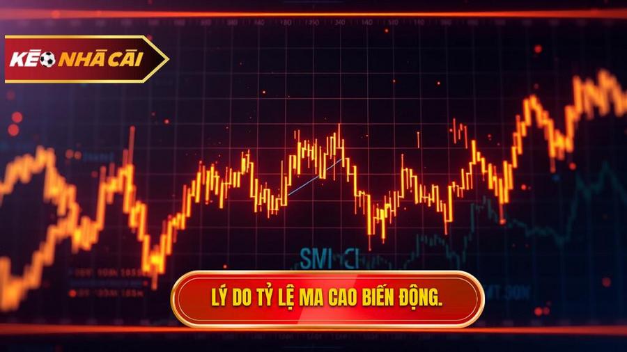 Phân tích đa chiều: Tại sao tỷ lệ Ma Cao lại biến động?
