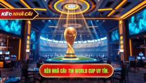 tin world cup